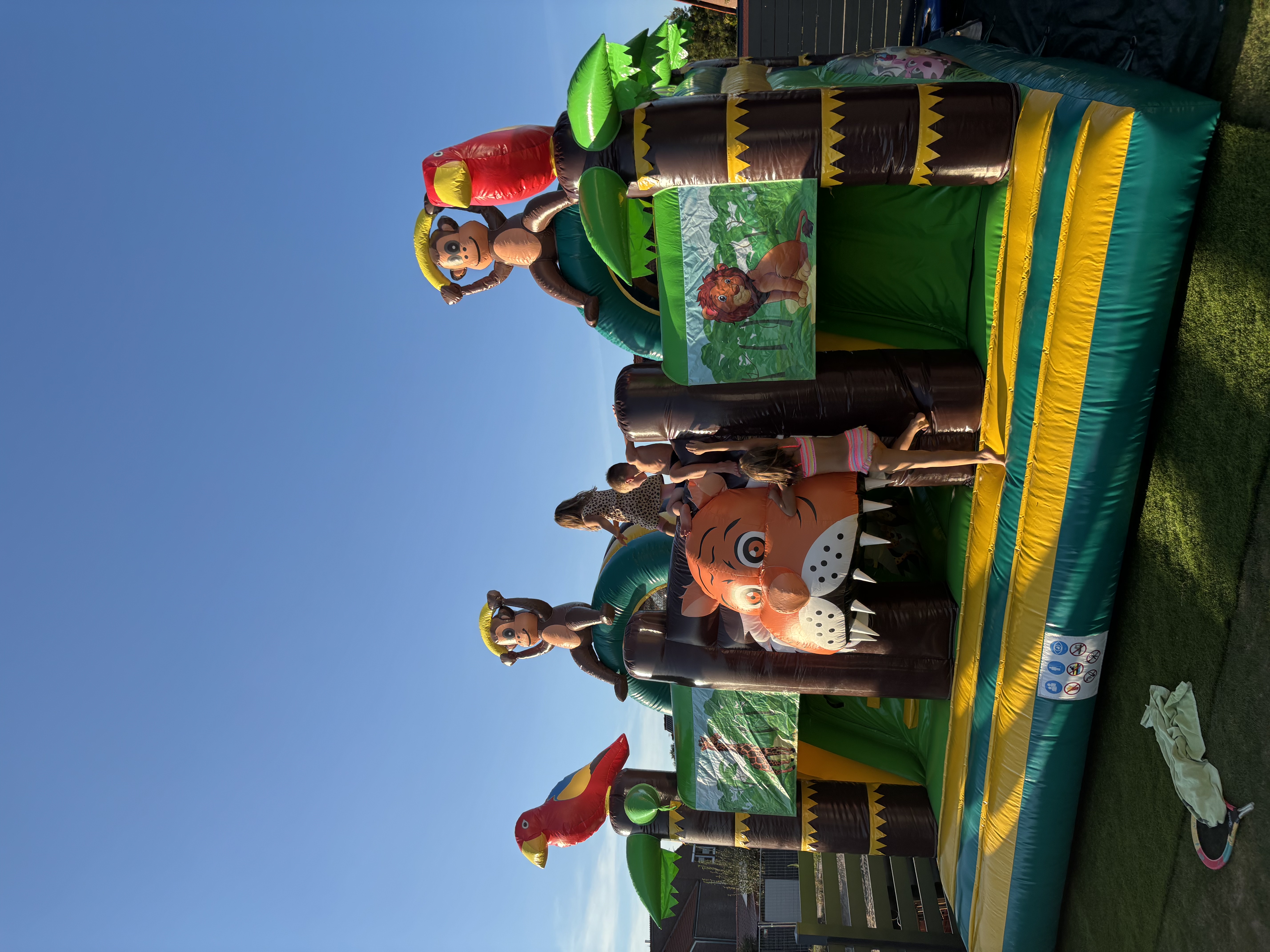 Dschungel mit zwei Rutschen