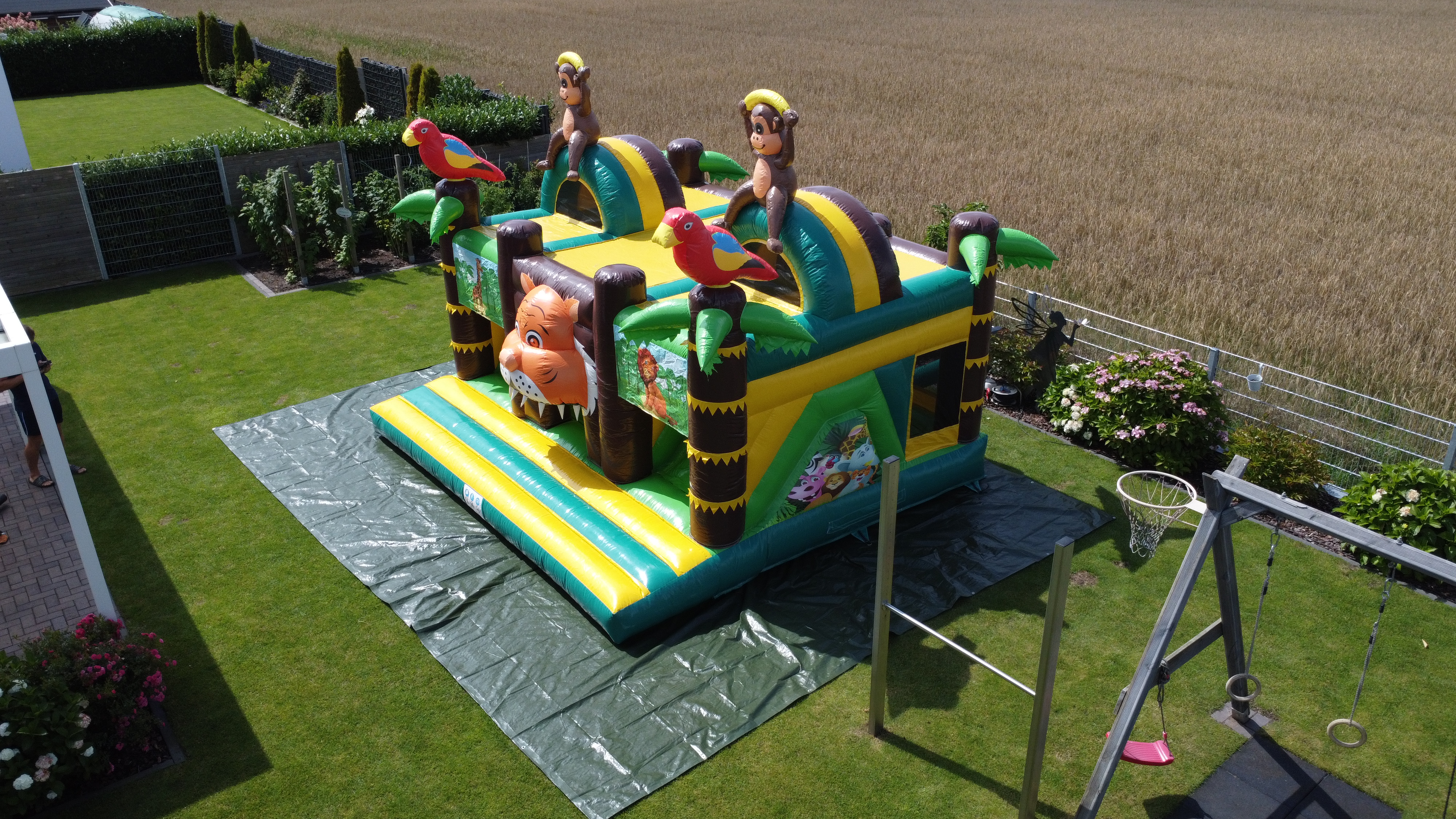 Dschungel mit zwei Rutschen